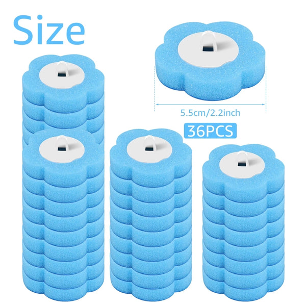 Blue 36PCS